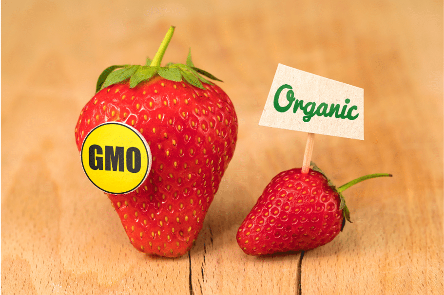 Produk GMO: Inovasi Teknologi dalam Pertanian dan Pangan