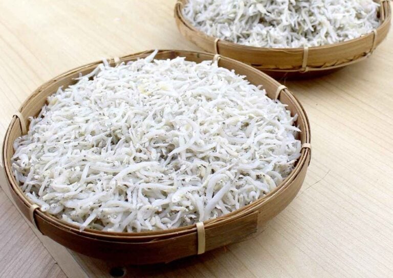 Teri Nasi: Harta Karun Mungil Penuh Gizi dari Lautan